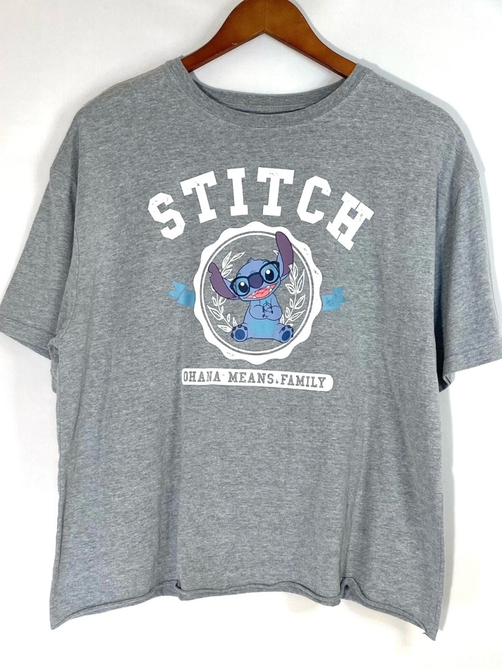 Disney Lilo and Stitch Ohana Means Family Gray T-shirt Size XL Short Sleeve